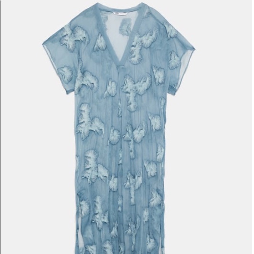 Sheer Beach Dress
